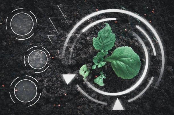 Training on Crop Rotation and Diversification for Soil Fertility and Pest Control
