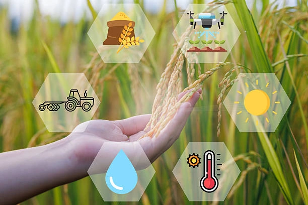 Training on GIS & Remote Sensing in Agriculture, Food Security, and Climate Change