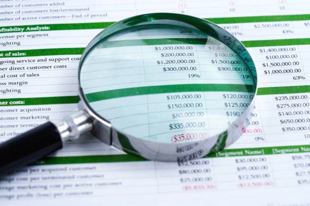 Training on Forensic Accounting in the Public Sector