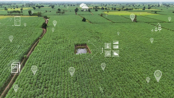 Training on GIS & Agriculture Applications