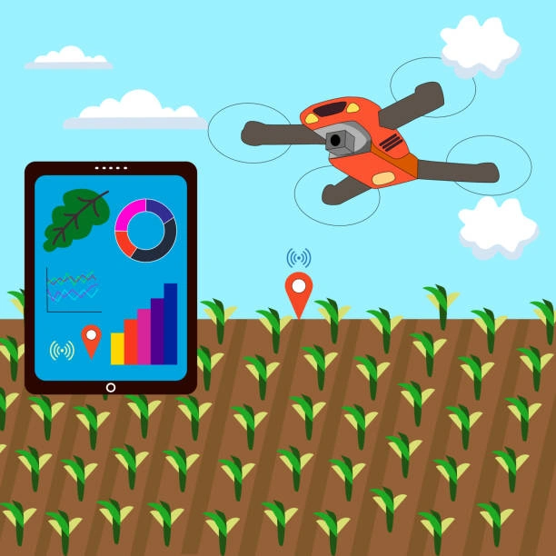 Training on Drone-Based Crop Health Monitoring