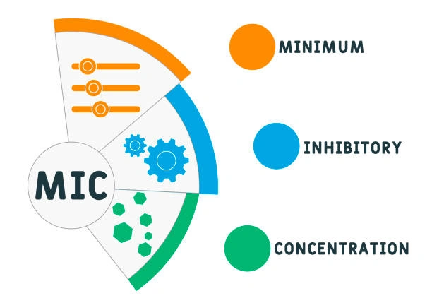 Training on Effective WASH Cluster Coordination & Information Management in Emergencies