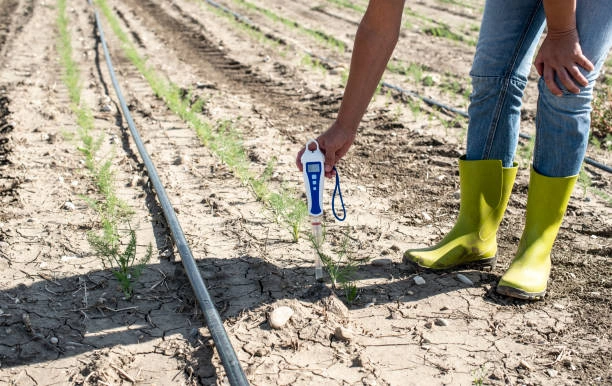 Training on Optimizing Water Footprint in Farming