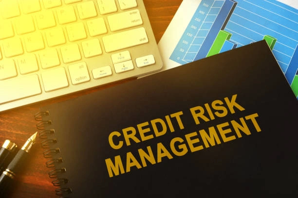 Training on Credit Risk Analysis and Portfolio Management in Microfinance